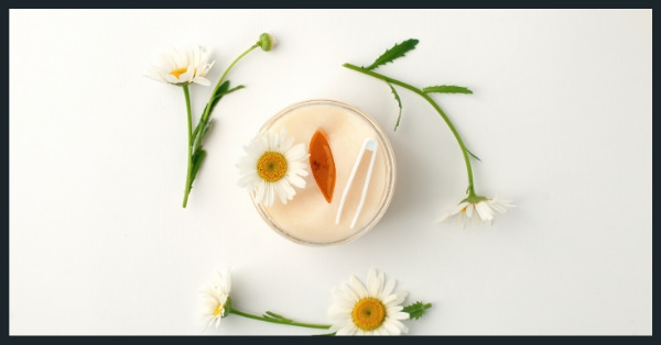 Image of Profitable Health & Wellness Business Opportunities, Ideas, and Trends for Plant-based Eating (from the Natfluence Guide on How to Make Money and succeed in business)